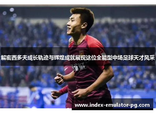 解密西多夫成长轨迹与辉煌成就展现这位全能型中场足球天才风采