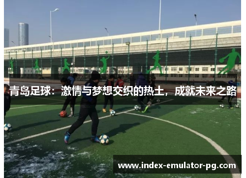 青岛足球:激情与梦想交织的热土,成就未来之路 青岛足球:激情与梦想交织的热土,成就未来之路