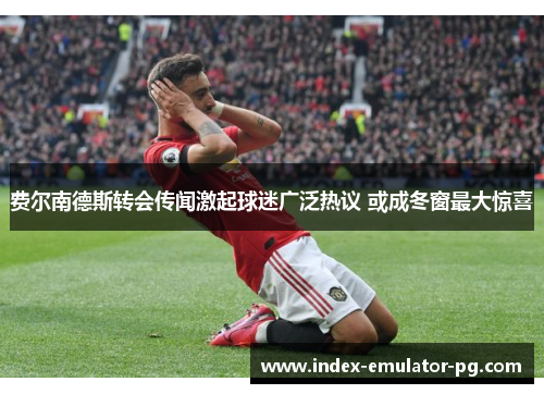 费尔南德斯转会传闻激起球迷广泛热议 或成冬窗最大惊喜 费尔南德斯转会传闻激起球迷广泛热议 或成冬窗最大惊喜