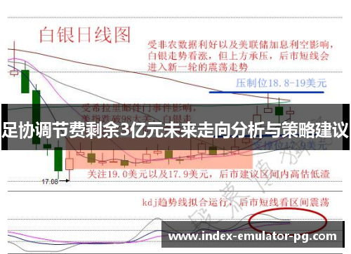足协调节费剩余3亿元未来走向分析与策略建议 足协调节费剩余3亿元未来走向分析与策略建议