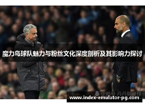 魔力鸟球队魅力与粉丝文化深度剖析及其影响力探讨 魔力鸟球队魅力与粉丝文化深度剖析及其影响力探讨